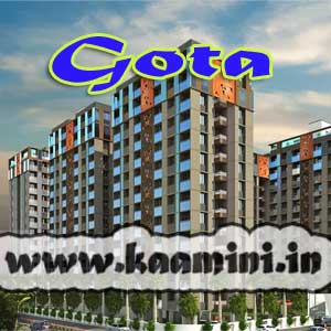 gota Escorts